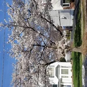 Meet your Posher, Danny fernando